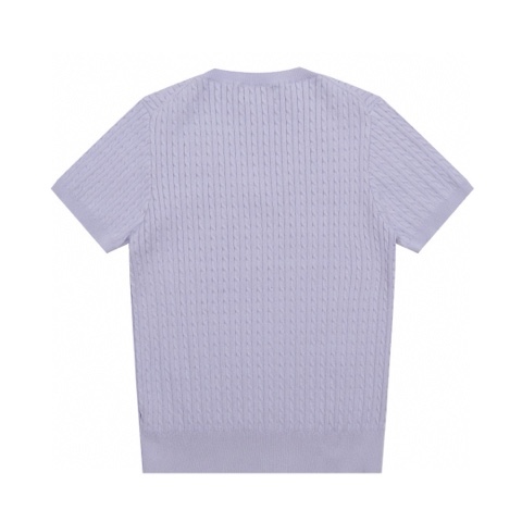 Men Ralph Lauren Polo Shirts-2803